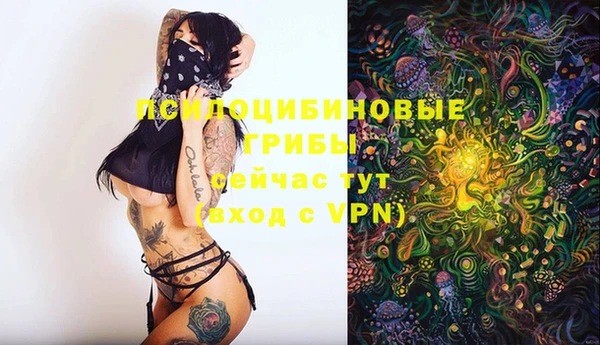 тгк Абаза