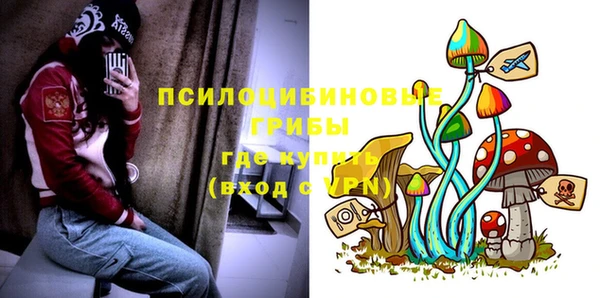 соль ск Абинск