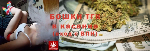 тгк Абаза