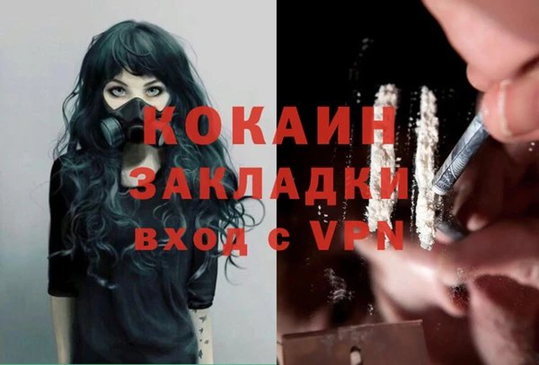 тгк Абаза