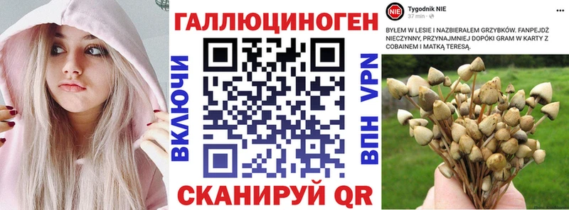 Галлюциногенные грибы MAGIC MUSHROOMS  Сусуман 